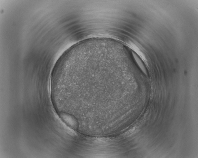 X0000088181084200706121645