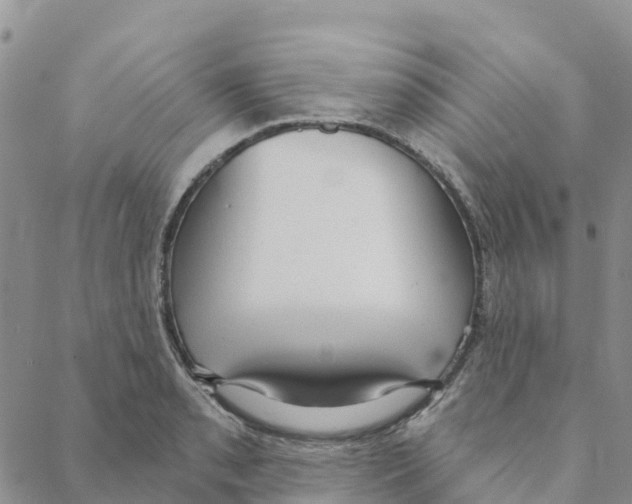 X0000088181085200706121645