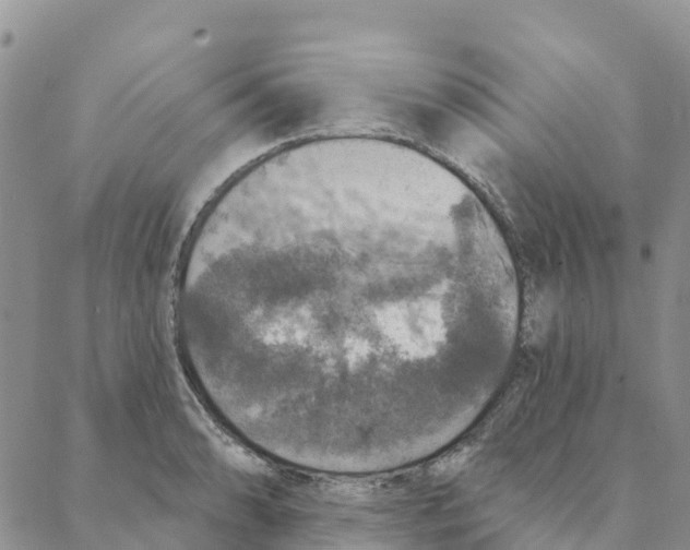 X0000088181086200706121645