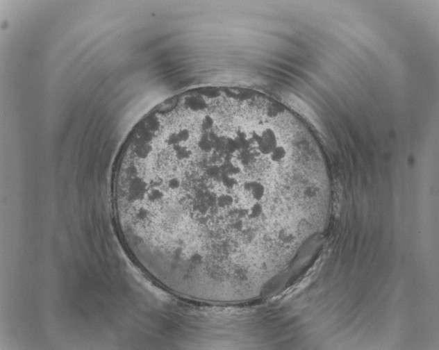 X0000088181087200706121645