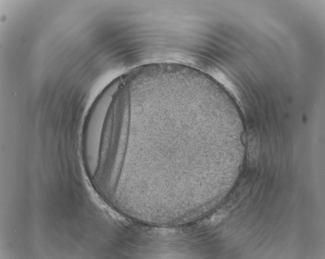 X0000088181088200706121645