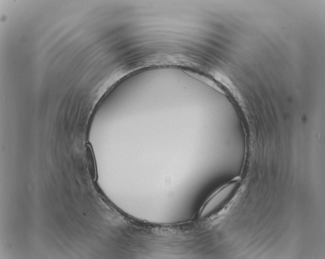 X0000088181089200706121645