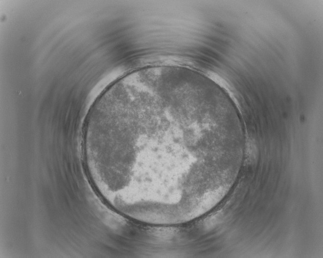 X0000088181090200706121645