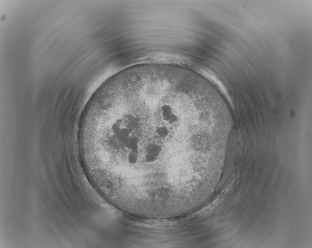 X0000088181091200706121645