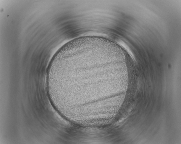 X0000088181092200706121645