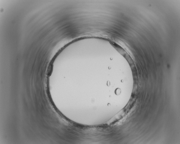 X0000088181093200706121645