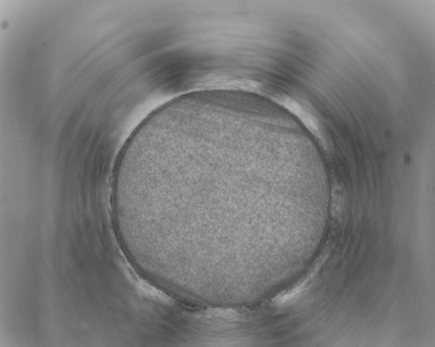 X0000088181094200706121645