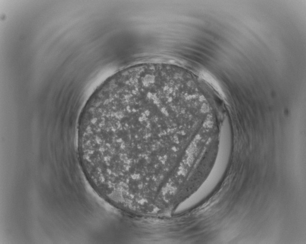 X0000088181095200706121645