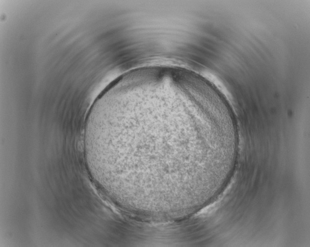 X0000088181097200706121645