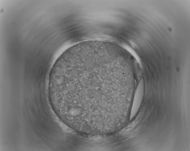 X0000088181099200706121645