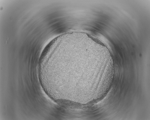 X0000088181100200706121645