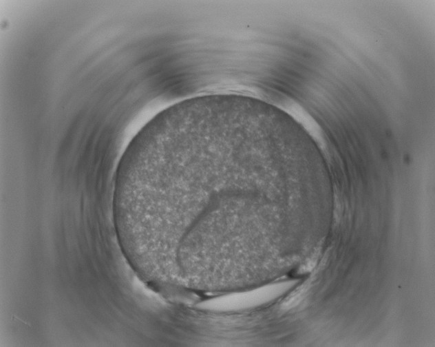 X0000088181102200706121645