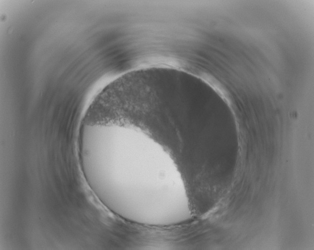 X0000088181104200706121645