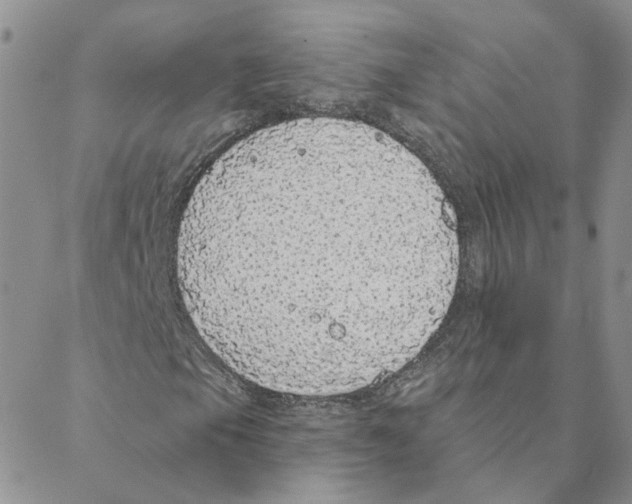 X0000088181105200706121644