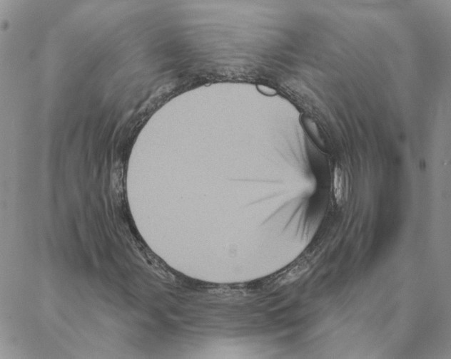 X0000088181107200706121644