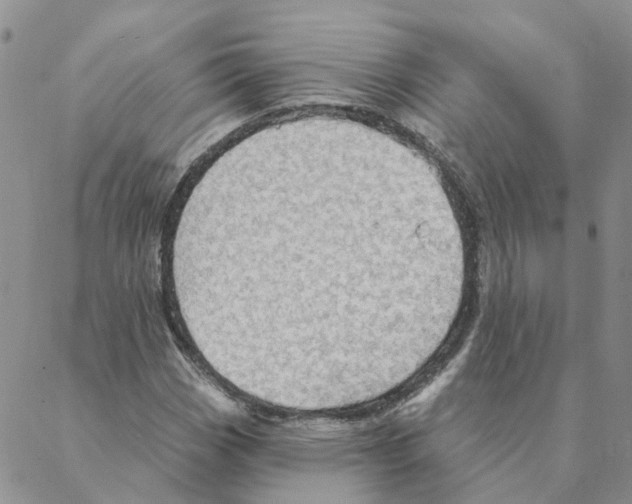 X0000088181113200706121644