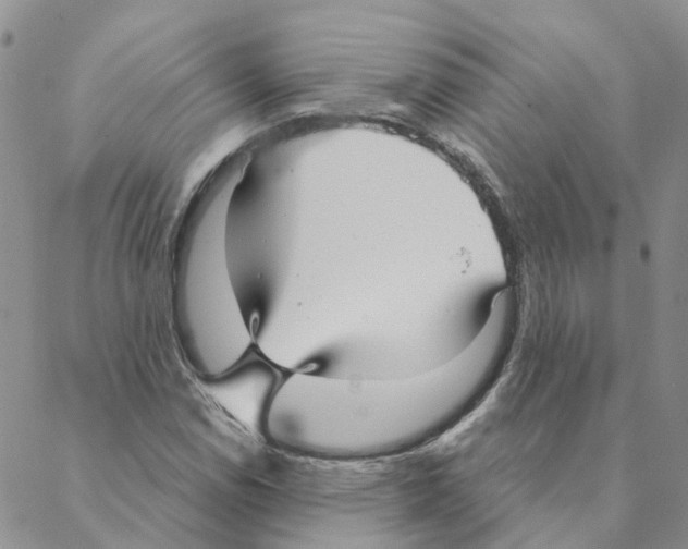 X0000088181114200706121644