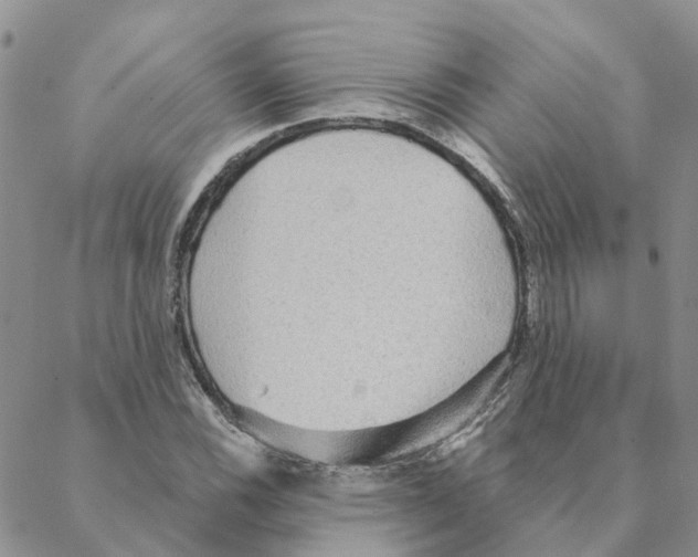 X0000088181116200706121644