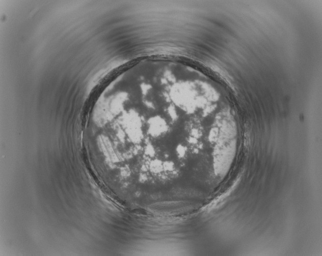 X0000088181117200706121644