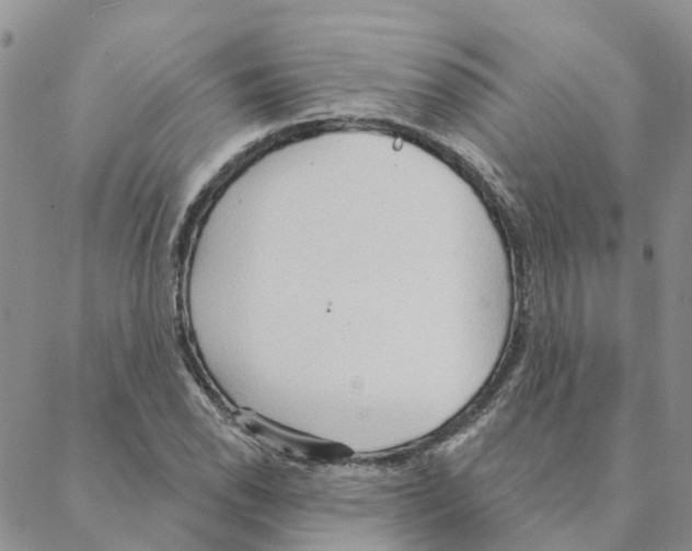 X0000088181118200706121644