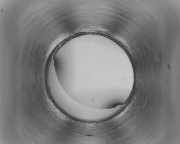 X0000088181122200706121644