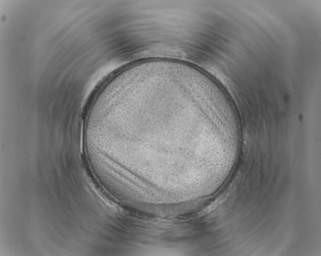 X0000088181123200706121644