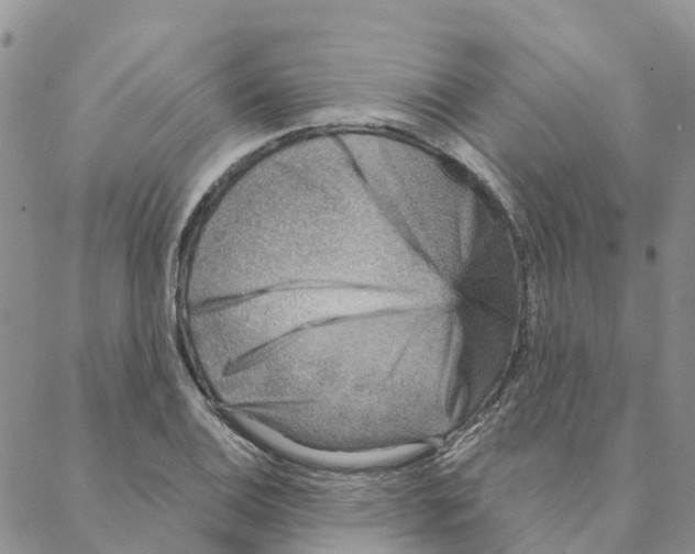 X0000088181124200706121644