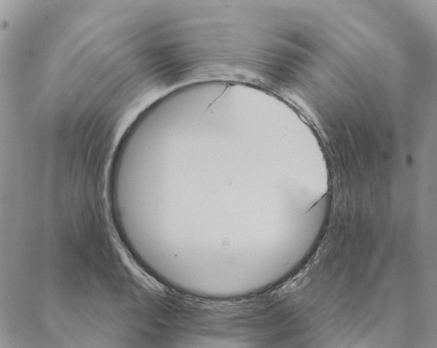 X0000088181128200706121644