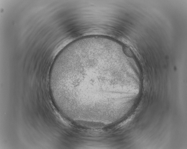 X0000088181129200706121644