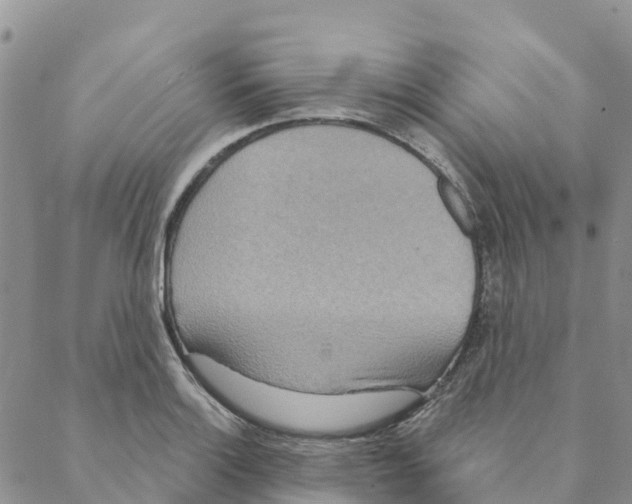 X0000088181132200706121644