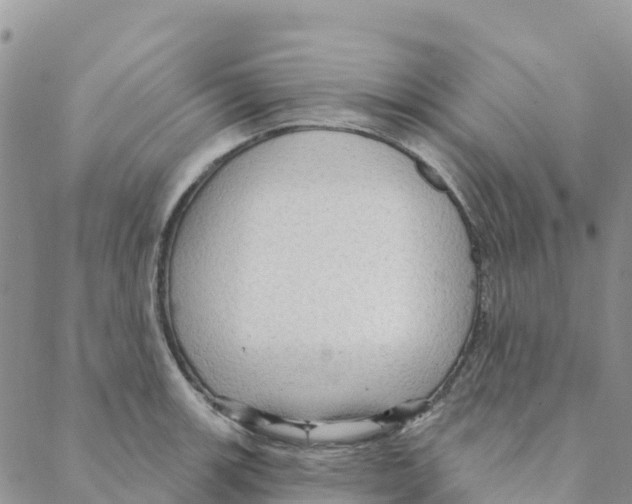 X0000088181139200706121644