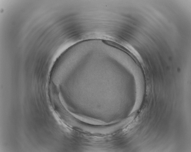 X0000088181144200706121644