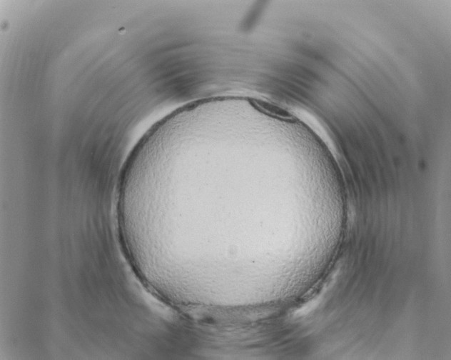 X0000088181149200706121644