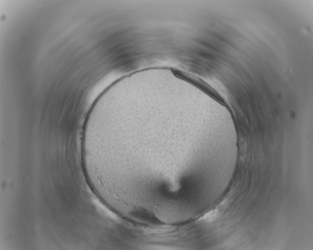 X0000088181151200706121645