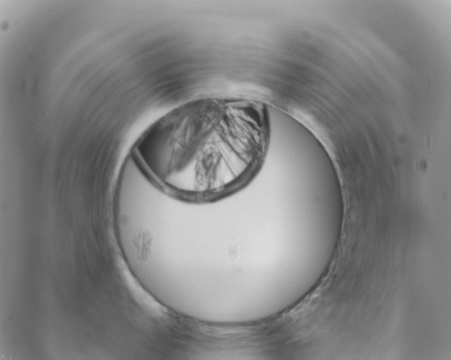 X0000088181152200706121645