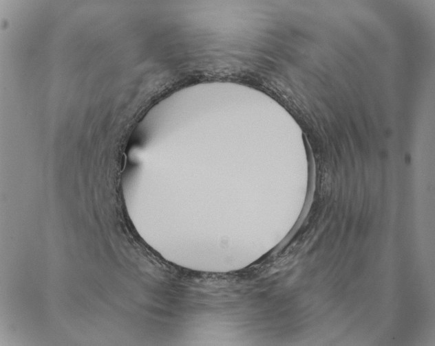 X0000088181153200706121644