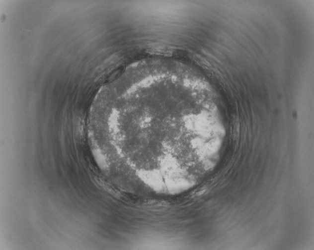 X0000088181154200706121644