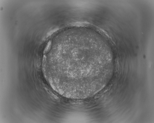 X0000088181158200706121644