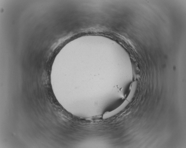 X0000088181160200706121644