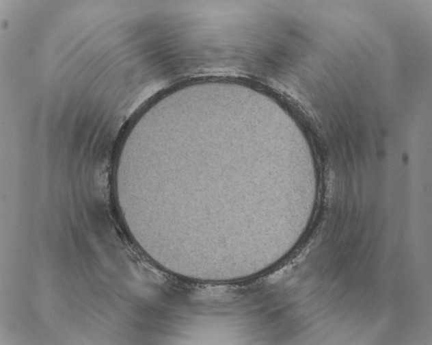 X0000088181162200706121644