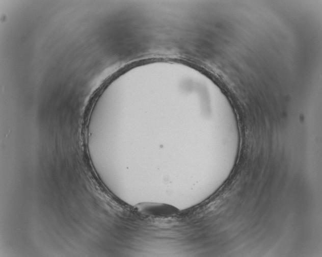 X0000088181168200706121644