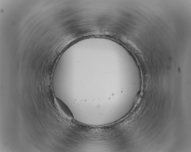 X0000088181169200706121643