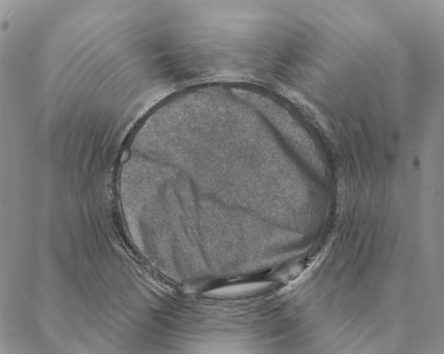 X0000088181170200706121643