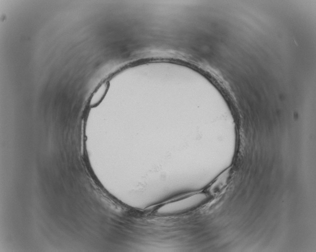 X0000088181175200706121643