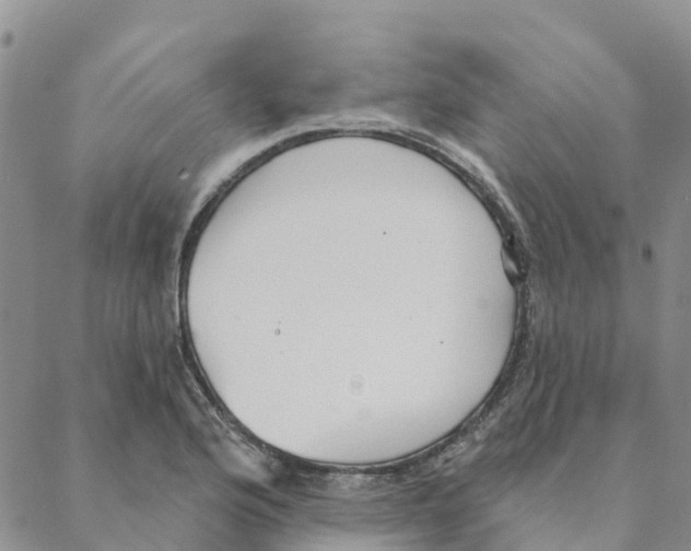 X0000088181176200706121643