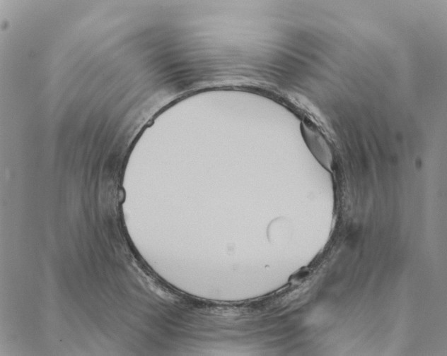 X0000088181177200706121643