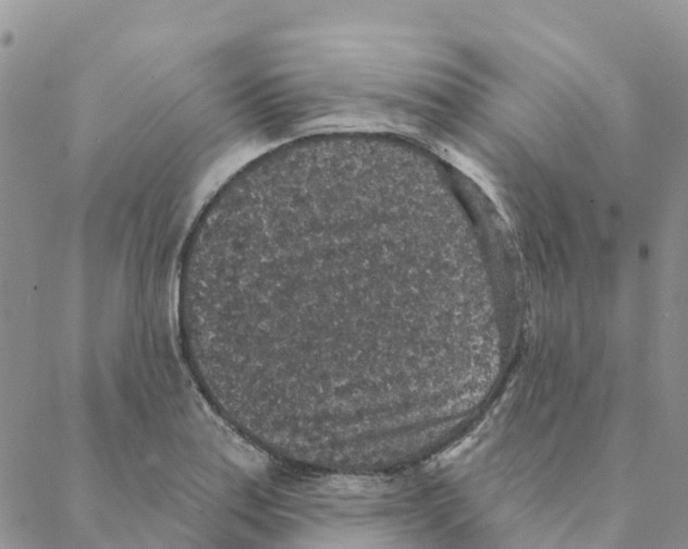 X0000088181179200706121643