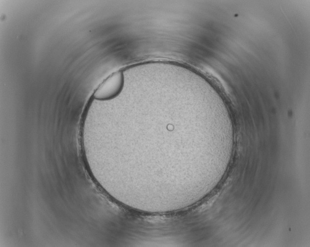 X0000088181182200706121643