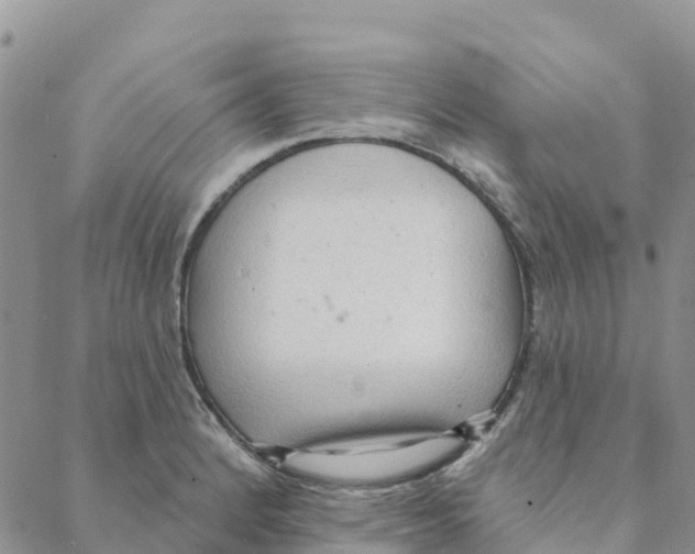 X0000088181184200706121643