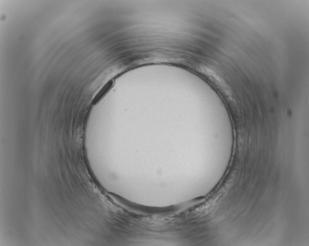 X0000088181185200706121643